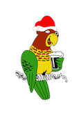 Wicked Parrot Icon